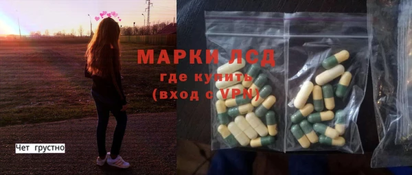 хмурый Алексин