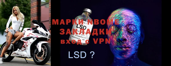 хмурый Алексин