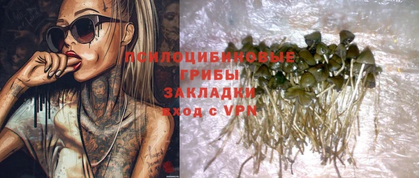 хмурый Алексин