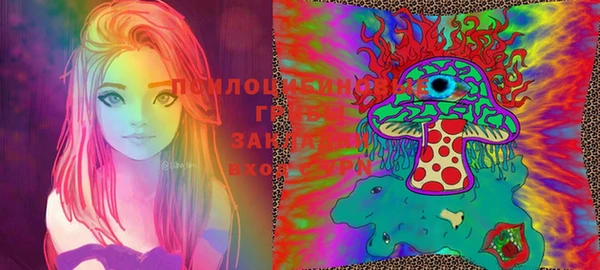 хмурый Алексин