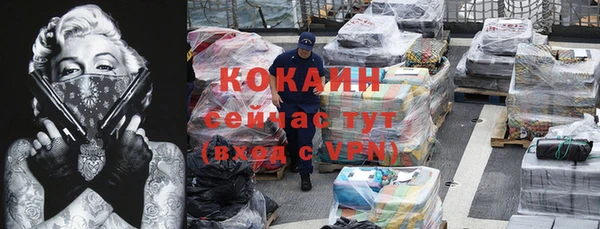 хмурый Алексин
