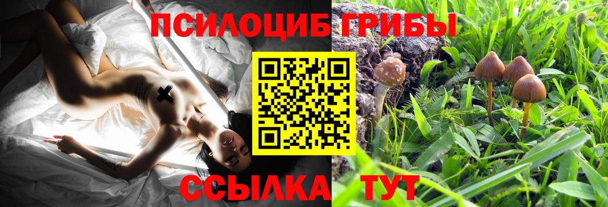 Галлюциногенные грибы Magic Shrooms  Вход с VPN  Коряжма 