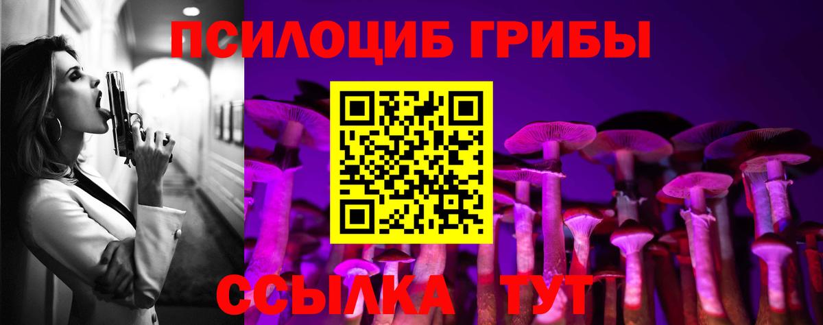 Псилоцибиновые грибы мицелий Коряжма